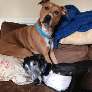 Meet your Posher, Chloe